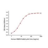 Standard Curve - Recombinant Human RBBP4 Protein (A331211) - Antibodies.com
