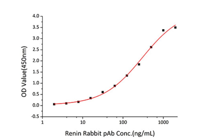 Standard Curve - Recombinant Human Renin Protein (C-terminal His Tag) (A331218) - Antibodies.com