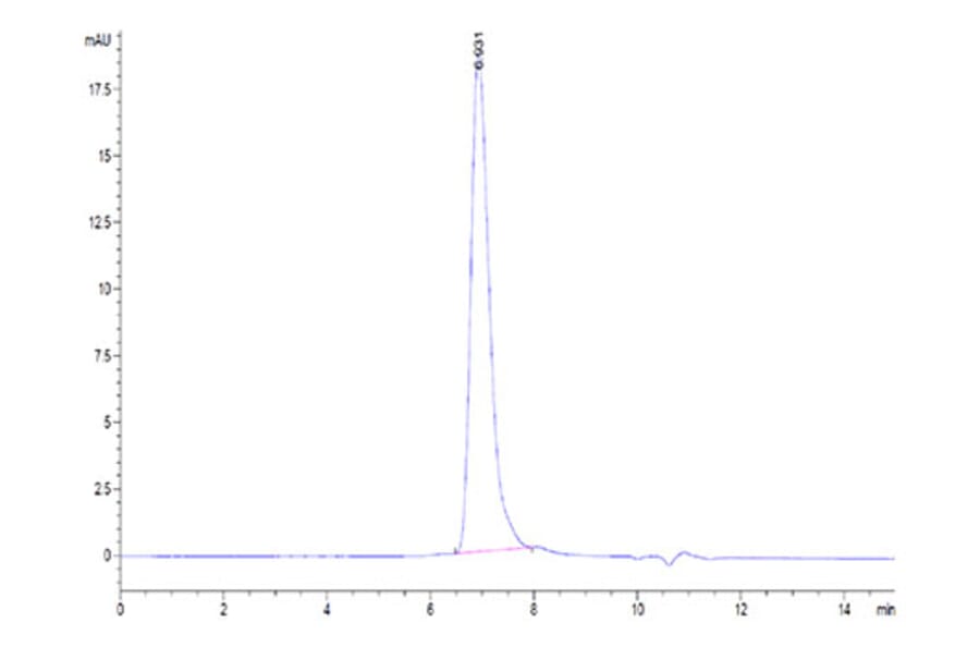 SEC-HPLC - Recombinant Human Repulsive Guidance Molecule A Protein (Biotin) (C-terminal His and Avi Tag) (A331220) - Antibodies.com