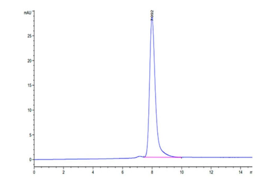 SEC-HPLC - Recombinant Human RNF43 Protein (C-terminal Human Fc Tag) (A331222) - Antibodies.com