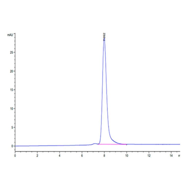 SEC-HPLC - Recombinant Human RNF43 Protein (C-terminal Human Fc Tag) (A331222) - Antibodies.com