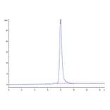 SEC-HPLC - Recombinant Human RNF43 Protein (C-terminal Human Fc Tag) (A331222) - Antibodies.com