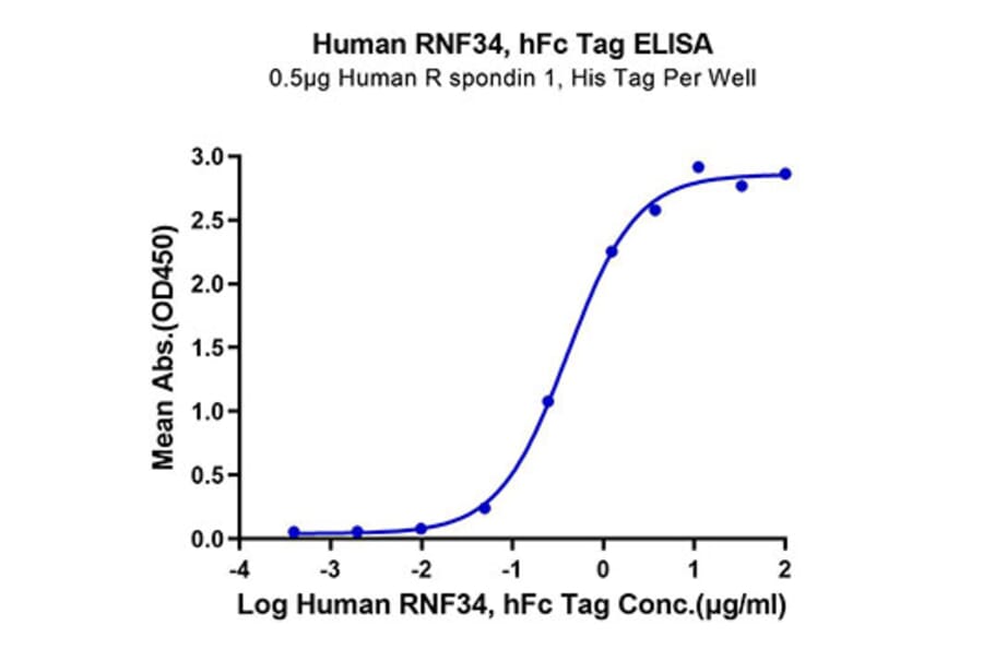 Standard Curve - Recombinant Human RNF43 Protein (C-terminal Human Fc Tag) (A331222) - Antibodies.com