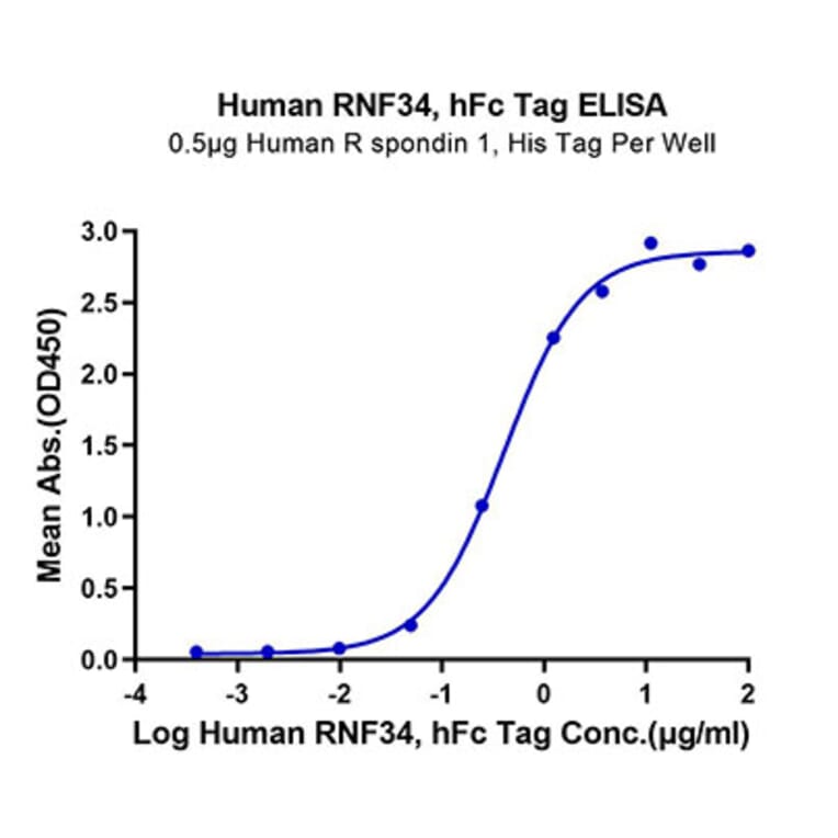 Standard Curve - Recombinant Human RNF43 Protein (C-terminal Human Fc Tag) (A331222) - Antibodies.com