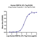 Standard Curve - Recombinant Human RNF43 Protein (C-terminal Human Fc Tag) (A331222) - Antibodies.com