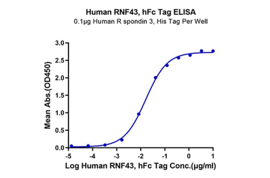Standard Curve - Recombinant Human RNF43 Protein (C-terminal Human Fc Tag) (A331222) - Antibodies.com