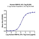 Standard Curve - Recombinant Human RNF43 Protein (C-terminal Human Fc Tag) (A331222) - Antibodies.com