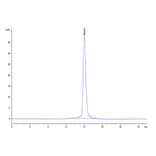 SEC-HPLC - Recombinant Mouse ROR1 Protein (C-terminal His Tag) (A331224) - Antibodies.com