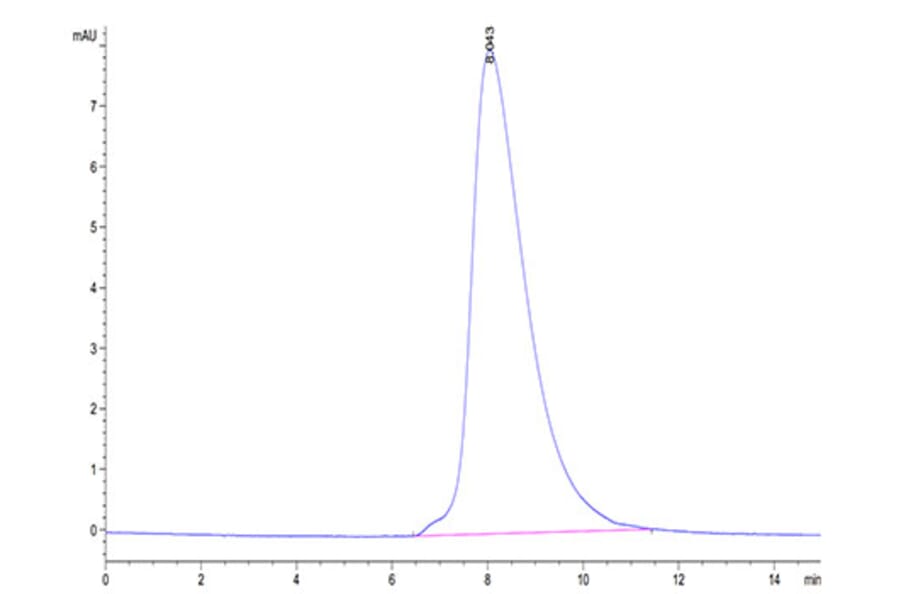 SEC-HPLC - Recombinant Human ROR2 Protein (Biotin) (C-terminal His and Avi Tag) (A331226) - Antibodies.com
