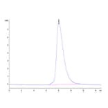 SEC-HPLC - Recombinant Human ROR2 Protein (Biotin) (C-terminal His and Avi Tag) (A331226) - Antibodies.com