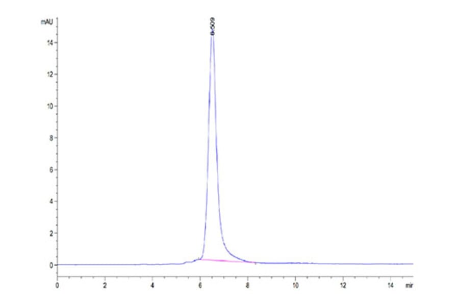 SEC-HPLC - Recombinant Human ROR2 Protein (C-terminal His and Avi Tag) (A331227) - Antibodies.com