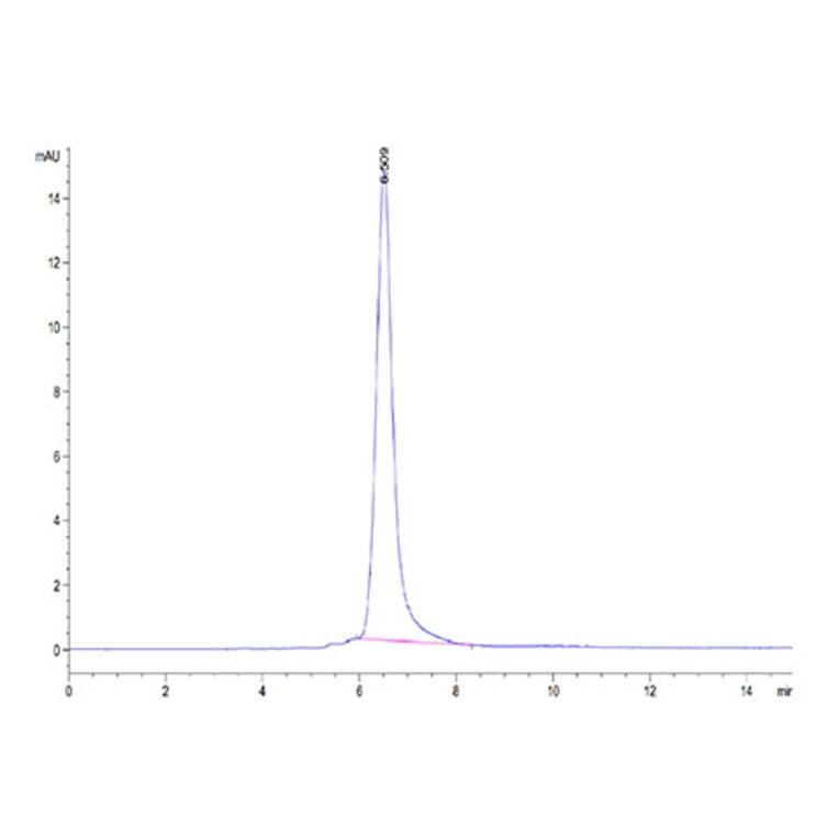 SEC-HPLC - Recombinant Human ROR2 Protein (C-terminal His and Avi Tag) (A331227) - Antibodies.com