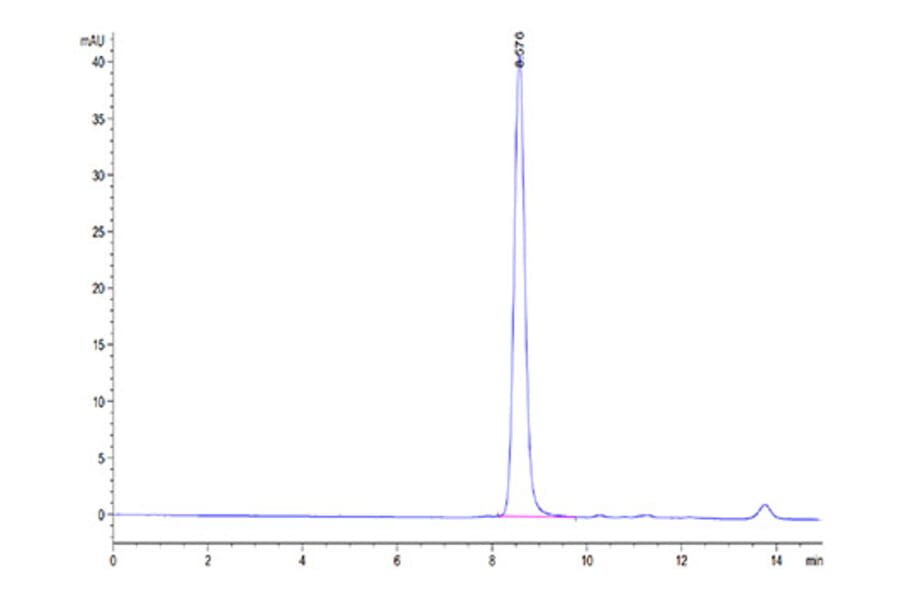 SEC-HPLC - Recombinant Mouse Serum Albumin Protein (C-terminal His Tag) (A331250) - Antibodies.com