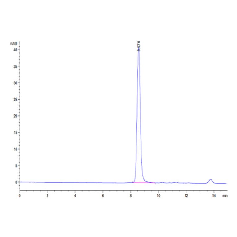 SEC-HPLC - Recombinant Mouse Serum Albumin Protein (C-terminal His Tag) (A331250) - Antibodies.com