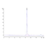 SEC-HPLC - Recombinant Mouse Serum Albumin Protein (C-terminal His Tag) (A331250) - Antibodies.com