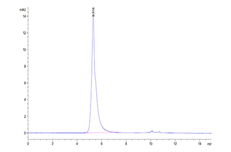 SEC-HPLC - Recombinant Human SIGLEC10 Protein (Biotin) (C-terminal Human Fc and Avi Tag) (A331252) - Antibodies.com