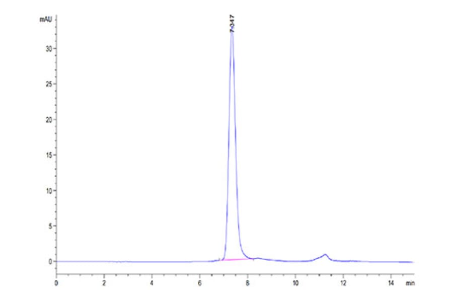 SEC-HPLC - Recombinant Human SIGLEC10 Protein (Biotin) (C-terminal His and Avi Tag) (A331255) - Antibodies.com