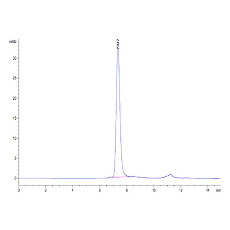 SEC-HPLC - Recombinant Human SIGLEC10 Protein (Biotin) (C-terminal His and Avi Tag) (A331255) - Antibodies.com