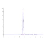 SEC-HPLC - Recombinant Human SIGLEC10 Protein (Biotin) (C-terminal His and Avi Tag) (A331255) - Antibodies.com