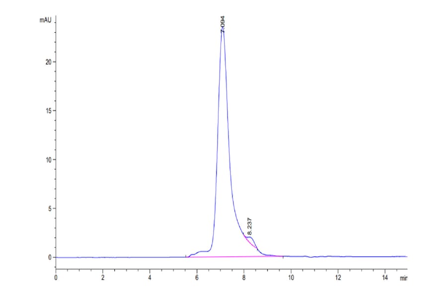 SEC-HPLC - Recombinant Human SIGLEC5 Protein (Biotin) (C-terminal His and Avi Tag) (A331262) - Antibodies.com