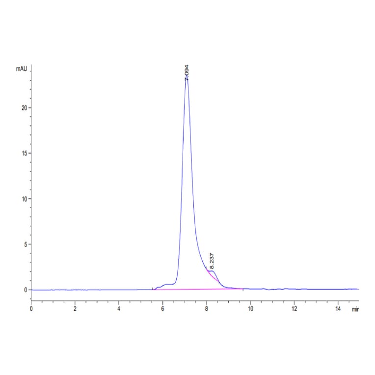 SEC-HPLC - Recombinant Human SIGLEC5 Protein (Biotin) (C-terminal His and Avi Tag) (A331262) - Antibodies.com