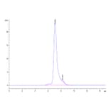 SEC-HPLC - Recombinant Human SIGLEC5 Protein (Biotin) (C-terminal His and Avi Tag) (A331262) - Antibodies.com