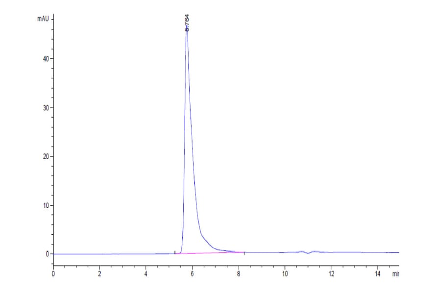 SEC-HPLC - Recombinant Human SIGLEC8 Protein (C-terminal Human Fc Tag) (A331268) - Antibodies.com