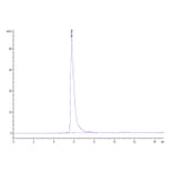 SEC-HPLC - Recombinant Human SIGLEC8 Protein (C-terminal Human Fc Tag) (A331268) - Antibodies.com