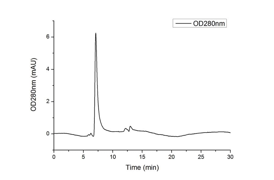 SEC-HPLC - Recombinant Human SIRP alpha Protein (C-terminal Human Fc and His Tag) (A331271) - Antibodies.com