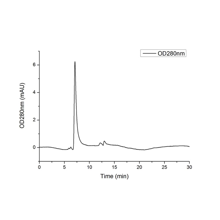 SEC-HPLC - Recombinant Human SIRP alpha Protein (C-terminal Human Fc and His Tag) (A331271) - Antibodies.com