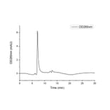 SEC-HPLC - Recombinant Human SIRP alpha Protein (C-terminal Human Fc and His Tag) (A331271) - Antibodies.com