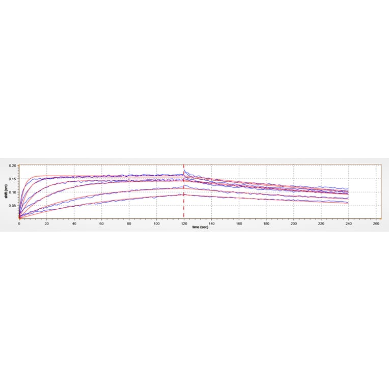 BLI Assay - Recombinant Human SIRP alpha Protein (C-terminal Human Fc and His Tag) (A331271) - Antibodies.com