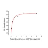 Standard Curve - Recombinant Human SIRP alpha Protein (C-terminal His Tag) (A331272) - Antibodies.com