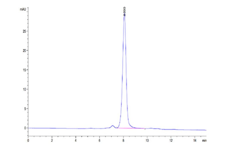 SEC-HPLC - Recombinant Human SIRP alpha Protein (Biotin) (C-terminal His and Avi Tag) (A331273) - Antibodies.com
