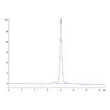 SEC-HPLC - Recombinant Human SIRP alpha Protein (Biotin) (C-terminal His and Avi Tag) (A331273) - Antibodies.com