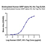 Standard Curve - Recombinant Human SIRP alpha Protein (Biotin) (C-terminal His and Avi Tag) (A331273) - Antibodies.com
