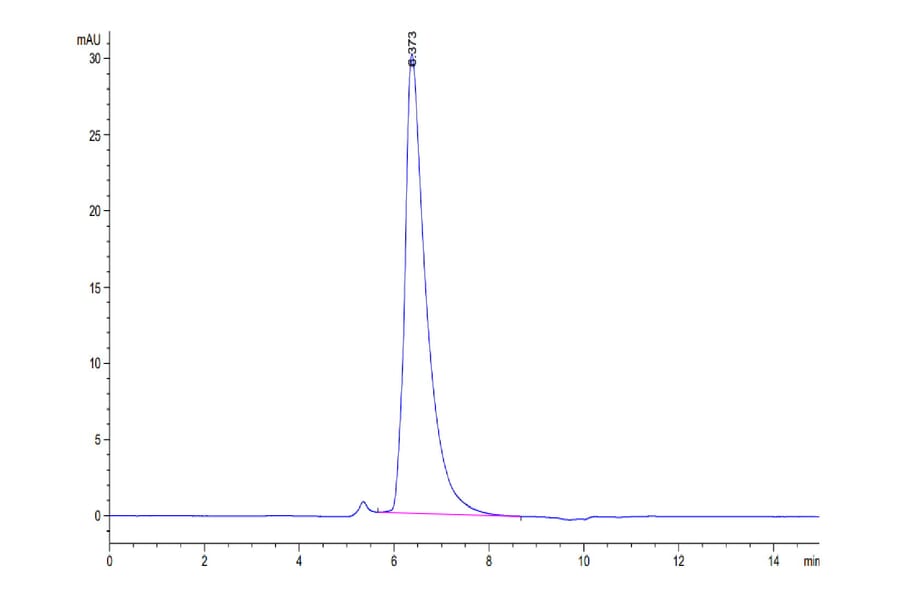 SEC-HPLC - Recombinant Human SLAMF7 Protein (Biotin) (C-terminal His and Avi Tag) (A331279) - Antibodies.com