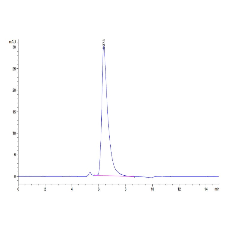 SEC-HPLC - Recombinant Human SLAMF7 Protein (Biotin) (C-terminal His and Avi Tag) (A331279) - Antibodies.com