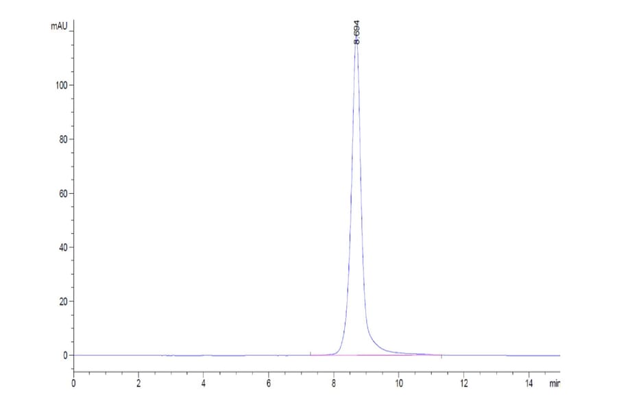 SEC-HPLC - Recombinant Human soluble IL2 Receptor beta Protein (C-terminal His and Avi Tag) (A331286) - Antibodies.com