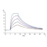 SPR Assay - Recombinant Human soluble IL2 Receptor beta Protein (C-terminal His and Avi Tag) (A331286) - Antibodies.com