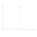 SEC-HPLC - Recombinant Human soluble IL2 Receptor beta Protein (C-terminal Human Fc Tag) (A331287) - Antibodies.com