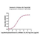 Standard Curve - Recombinant Human soluble IL2 Receptor beta Protein (C-terminal Human Fc Tag) (A331287) - Antibodies.com