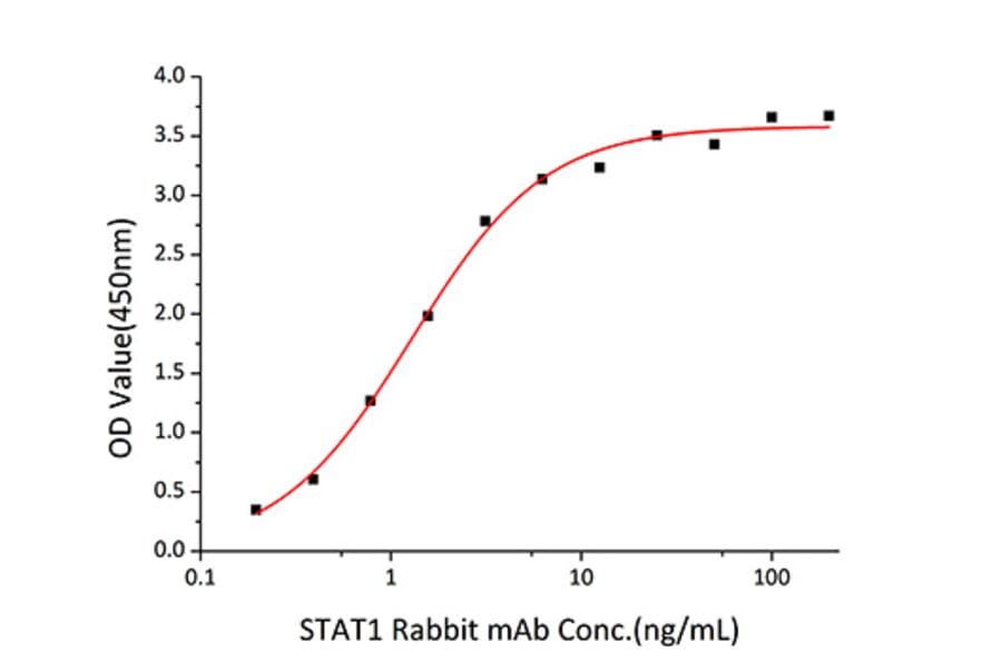 Standard Curve - Recombinant Human STAT1 Protein (C-terminal His Tag) (A331295) - Antibodies.com