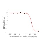 Cell Viability Assay - Recombinant Human TGF beta 1 Protein (N-terminal His Tag) (A331312) - Antibodies.com