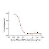 Cell Viability Assay - Recombinant Human TGF beta 1 Protein (A331313) - Antibodies.com