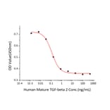 Cell Viability Assay - Recombinant Human TGF beta 2 Protein (A331316) - Antibodies.com