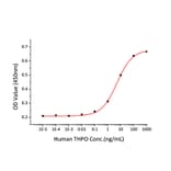 Proliferation Assay - Recombinant Human Thrombopoietin Protein (C-terminal His Tag) (A331323) - Antibodies.com