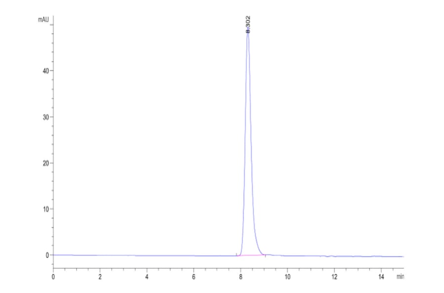 SEC-HPLC - Recombinant Human Tie2 Protein (C-terminal His Tag) (A331328) - Antibodies.com