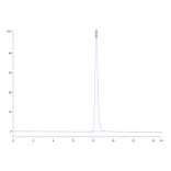 SEC-HPLC - Recombinant Human Tie2 Protein (C-terminal His Tag) (A331328) - Antibodies.com