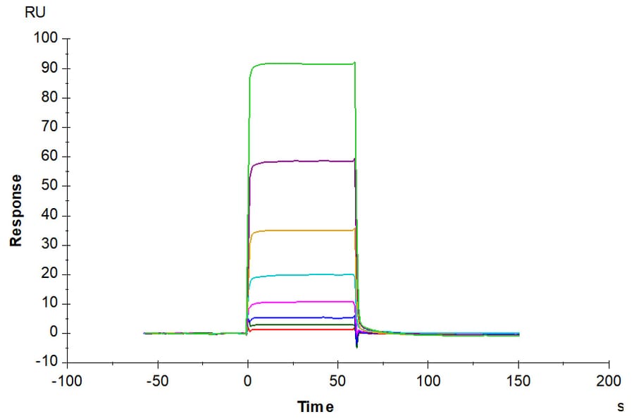 SPR Assay - Recombinant Human Tie2 Protein (C-terminal His Tag) (A331328) - Antibodies.com